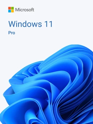 Windows 11 Pro